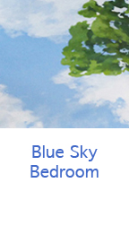 blue sky bedroom, boulder murals