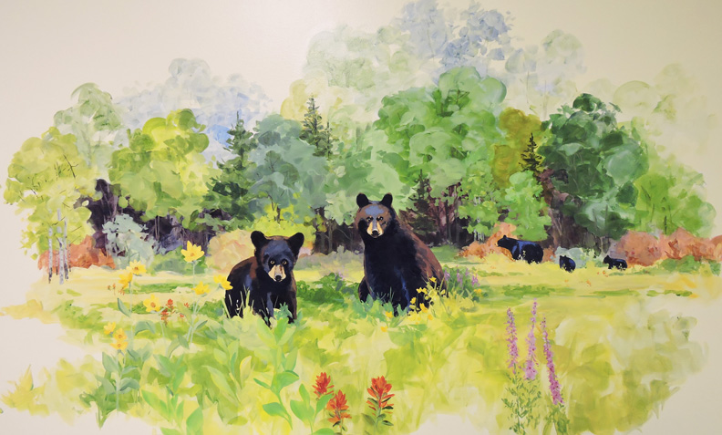 hand painted mural for Mountainland Pediatrics with birdhouses, bears, butterflies, owls, turtles, ducks, deer, fox, rabbits, flowers, mountain lion, 