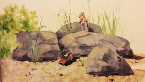 Chipmunk mural, chipmunks by a lake and in rocks, hand painted mural for Mountainland Pediatrics with birdhouses, bears, butterflies, owls, turtles, ducks, deer, fox, rabbits, flowers, mountain lion, 