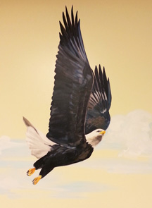 hand painted mural of bald eagle by Boulder Murals, hand painted mural for Mountainland Pediatrics with birdhouses, bears, butterflies, owls, turtles, ducks, deer, fox, rabbits, flowers, mountain lion, 