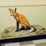 hand painted mural of a red fox by Boulder Murals