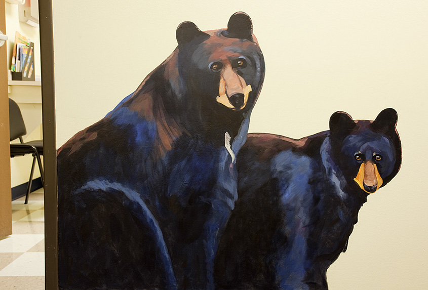 Mountainland Pediatrics murals, aspens, bears, columbine, trout