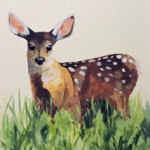 hand painted mural of fawn, in grasses by Boulder Murals