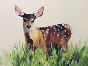 hand painted mural of fawn, in grasses by Boulder Murals, hand painted mural for Mountainland Pediatrics with birdhouses, bears, butterflies, owls, turtles, ducks, deer, fox, rabbits, flowers, mountain lion, 