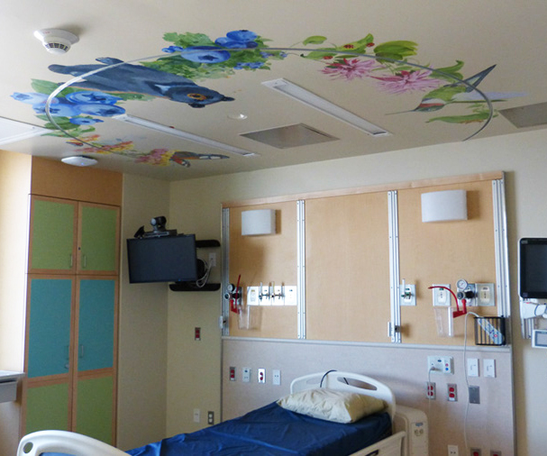 hand painted mural in Children's Hospital Colorado by Boulder Murals bears, humming birds, butterlies