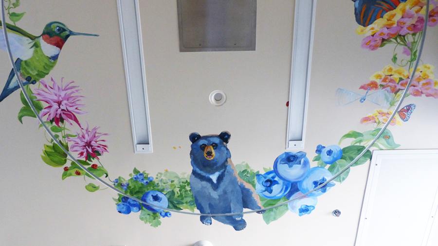 hand painted mural in Children's Hospital Colorado by Boulder Murals bears, humming birds, butterlies