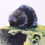 hand painted mural of porcupine by Boulder Murals